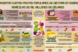 Convertir cuatro frutas populares de Vietnam en rubros agrícolas de mil millones de dólares 
