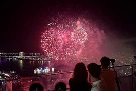 En una actuación de fuegos artificiales. (Fuente: VNA)