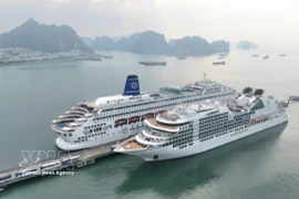 Los cruceros de lujo Seabourn Encore y Piano Land llegan a la provincia de Quang Ninh en el primer día del Año Nuevo Lunar. (Fuente: VNA)