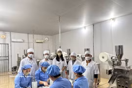 En una empresa de producción de medicamentos en la provincia de Nghe An. (Fuente: VNA)