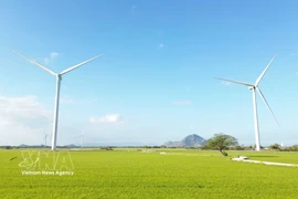 Actualmente, el parque eólico Dam Nai e encuentra en la comuna de Thuan Bac, provincia de Khanh Hoa. (Fuente: VNA)