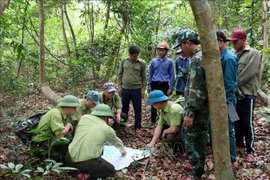 En una patrulla en el Parque Nacional Phong Nha - Ke Bang. (Fuente: VNA)