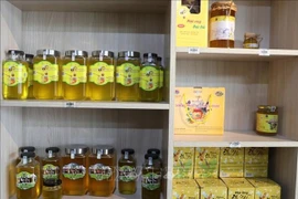 Miel de flores de menta, un producto preciado de la meseta rocosa de Dong Van. (Fuente: VNA)