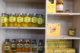 Miel de flores de menta, un producto preciado de la meseta rocosa de Dong Van. (Fuente: VNA)