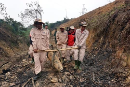 Trasladan una bomba de 220 kilogramos a lugar seguro para su destrucción. (Fuente: VNA)