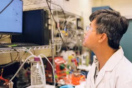 CO2L Tech puso a prueba su tecnología en la planta de la empresa Helen de Investigación Científica y Desarrollo Tecnológico. (Fuente: baodautu.vn)
