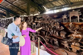 Los visitantes admiran una gigantesca obra de arte en madera fósil, de casi 25 metros de longitud y unas 20 toneladas de peso, considerada una de las piezas más elaboradas de Vietnam. (Fuente: VNA)