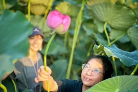 El loto del Lago Oeste, uno de los símbolos de Hanoi. (Fuente: VietnamPlus)