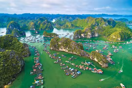 En el archipiélago de Cat Ba, en la ciudad de Hai Phong. (Fuente: baodautu.vn)