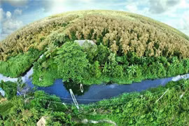 Tecnología de teledetección para el monitoreo y la verificación de créditos de carbono forestal en Vietnam. (Fuente Departamento Nacional de Teledetección)