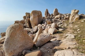 En el parque de piedras. (Fuente: VNA)