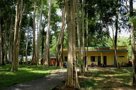 En el Parque Nacional Cat Tien. (Fuente: VNA)