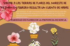 Viajar a las tierras de flores del noreste de Vietnam en febrero resulta un cuento de hadas 