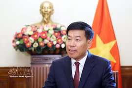 El viceministro de Relaciones Exteriores Nguyen Manh Cuong. (Fuente: VNA)