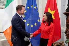 La vicecanciller vietnamita Le Thi Thu Hang y el secretario de Estado del Ministerio de Asuntos Exteriores y Comercio de Irlanda, Neale Richmond. (Fuente: VNA)
