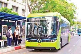 Impulsan “ecologización” del sistema de autobuses en ciudades clave de Vietnam. (Fuente: nhandan.vn)
