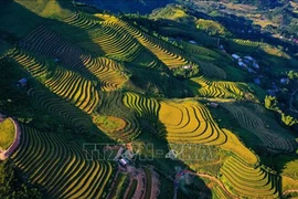 Belleza de Yen Bai. (Fuente: VNA)