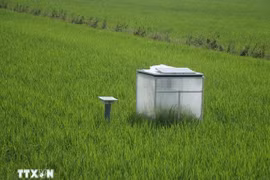 Sistema de medición de reducción de emisiones en arrozales.. (Fuente: VNA)