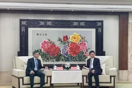 Vietnam fomenta cooperación en auditoría con ciudad china