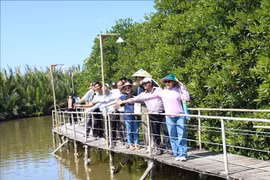 Los turistas visitan y disfrutan de los manglares en las comunas costeras de la isla de An Hoa, provincia de Vinh Long. (Fuente: VNA)