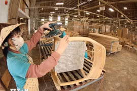 En una empresa de procesamiento de madera. (Fuente: VNA)