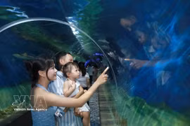 En el Museo del Instituto Oceanográfico de Nha Trang. (Fuente: VNA)