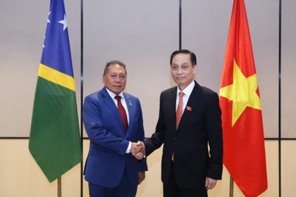 El miembro del Comité Central del Partido Comunista y ministro de Relaciones Exteriores de Vietnam, Le Hoai Trung, recibe al titular de Relaciones Exteriores y Comercio Exterior de las Islas Salomón, Peter Shanel Agovaka. (Fuente: Ministerio de Relaciones Exteriores de Vietnam)