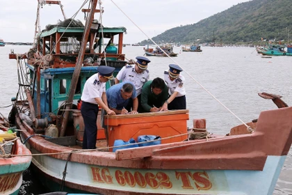 Propietarios de embarcaciones pesqueras firman su compromiso de no incurrir en la pesca IUU. (Foto: VNA)