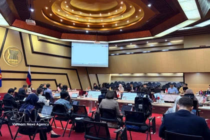 La 24ª reunión del Comité Conjunto de Cooperación ASEAN–Rusia. (Foto: VNA)
