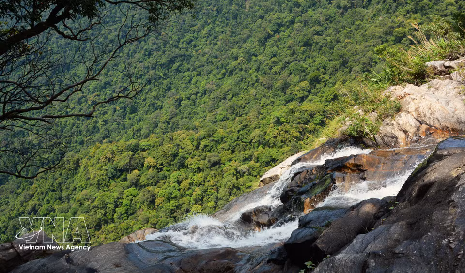 Con una altura aproximada de 300 metros, el agua que cae desde la cima de la cascada Do Quyen forma una franja de espuma blanca que resalta sobre el intenso verde del bosque primario. (Fuente: VNA)