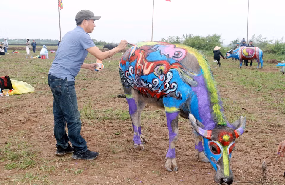 El concurso de pintura corporal de búfalos es una de las actividades imprescindibles del Festival Tich Dien Doi Son, aportando nuevos matices y una huella artística especial al espacio festivo. (Foto: VNA)