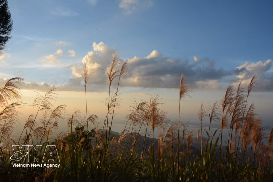 Los majestuosos paisajes de montañas y bosques que se extienden hasta el horizonte cautivan a los visitantes cuando los observan desde Vong Hai Dai. (Foto: VNA)