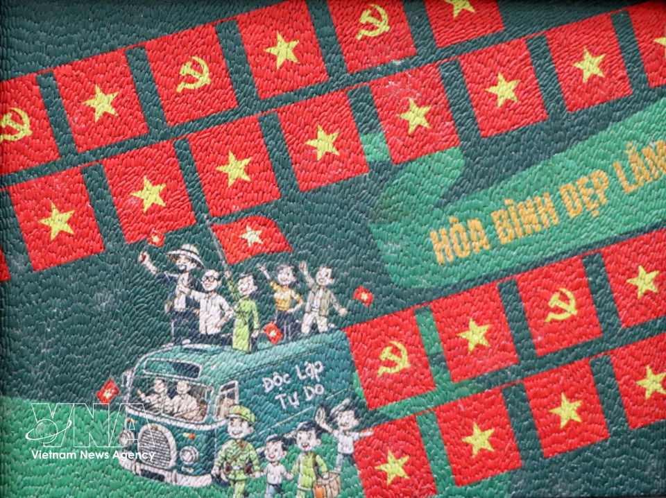 Cuadros de arroz de Khuu Tan Buu (barrio Ninh Kieu, ciudad de Can Tho). Foto: VNA