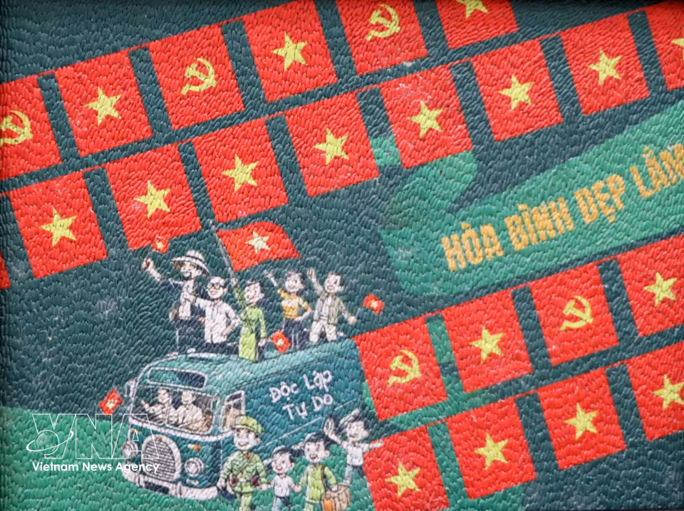 Cuadros de arroz de Khuu Tan Buu (barrio Ninh Kieu, ciudad de Can Tho). Foto: VNA