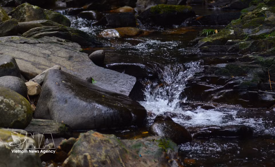 Los arroyos de Bach Ma, de aguas frescas y cristalinas, serpentean entre los antiguos bosques, creando un paisaje de gran belleza y tranquilidad. (Fuente: VNA)