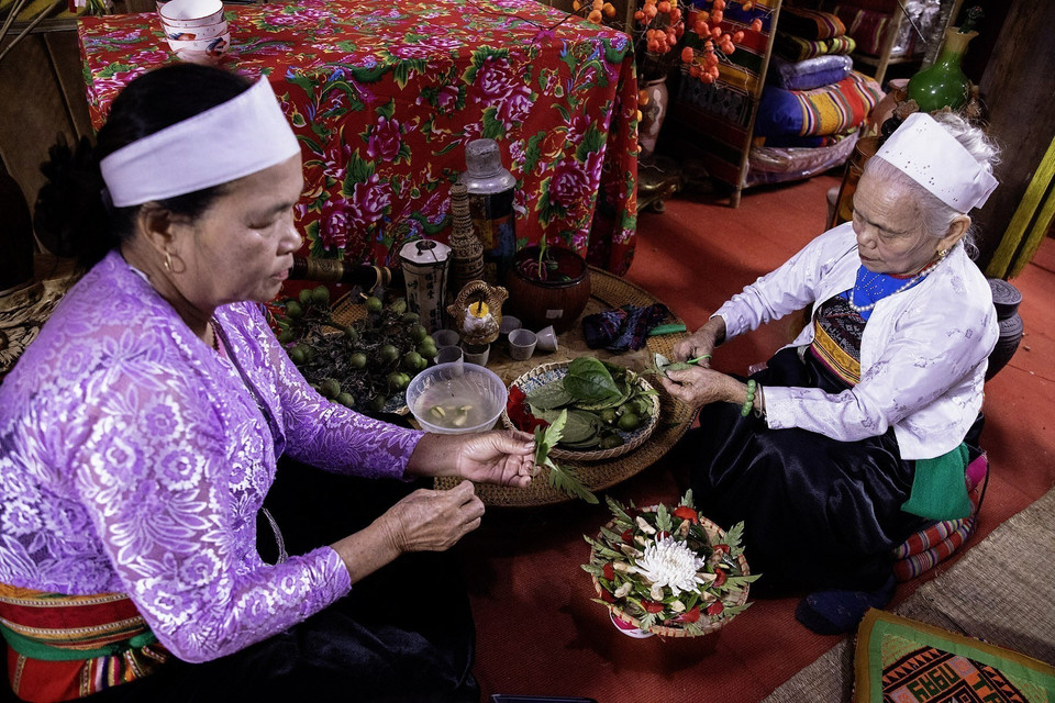 Las Me Muong (mujeres mayores) están preparando “trau canh phuong” (hoja de betel envuelta en alas de fénix) para la ofrenda del Tet. (Foto: VNA)