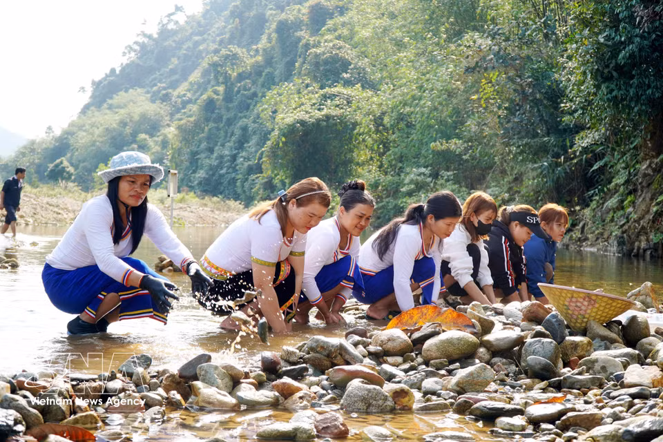 La gente se reúne en la zona del río Truong para transportar piedras y construir un dique que bloquee la corriente y así poder atrapar peces. (Foto: VNA)