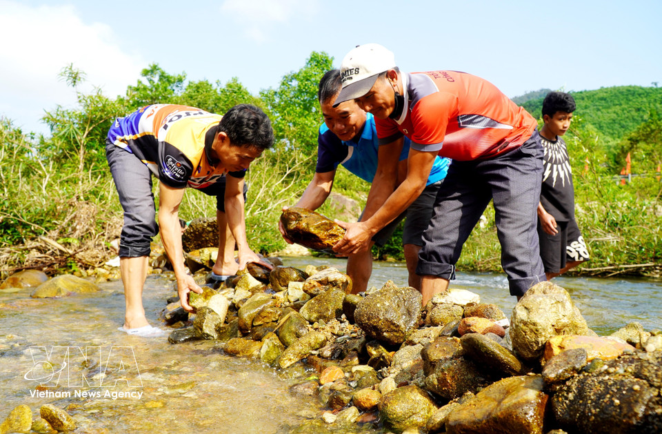 La gente se reúne en la zona del río Truong para transportar piedras y construir un dique que bloquee la corriente y así poder atrapar peces. (Foto: VNA)