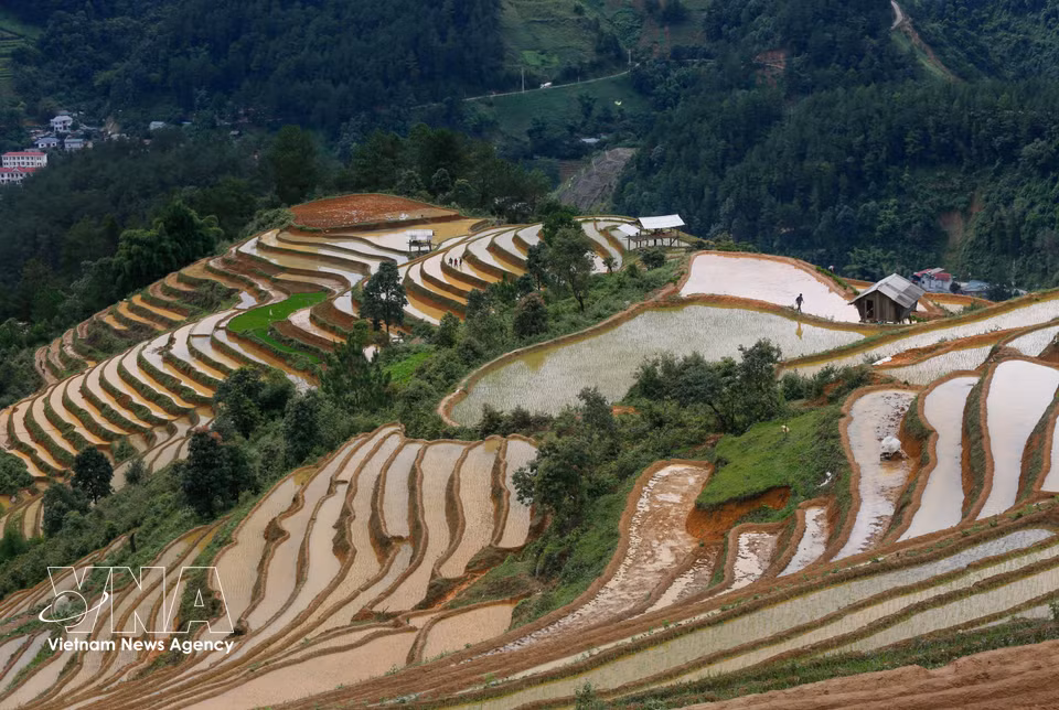 Los campos inundados de Mu Cang Chai. Foto: VNA