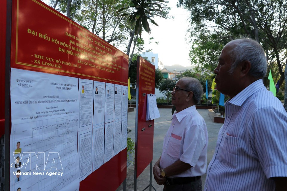 Votantes en la comuna de Long Hai, Ciudad Ho Chi Minh, consultan la información sobre los candidatos antes de emitir su voto. (Foto: VNA)