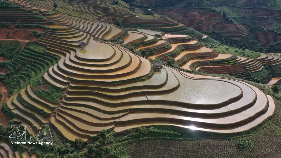 Los tonos marrones de la tierra se mezclan con el verde de las montañas y el brillo plateado del agua, componiendo un escenario majestuoso y poético en medio de las montañas del noroeste. Foto: VNA