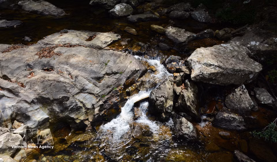 Bach Ma cuenta con un sistema de arroyos de aguas limpias y refrescantes que atraviesan los bosques primarios, ofreciendo un paisaje poético y encantador. (Fuente: VNA)
