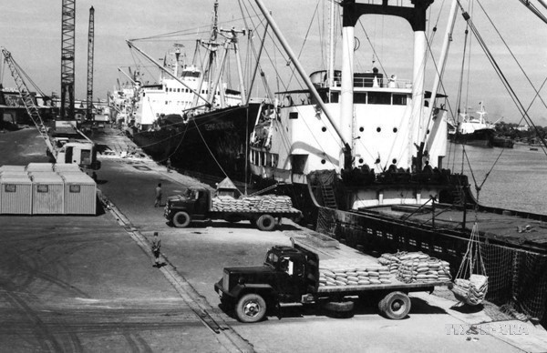 El 5 de abril de 1988, el Buró Político del PCV emitió la Resolución 10/NQ-TW sobre la reforma de la gestión económica agrícola. En la foto: Carga y descarga de arroz de exportación en el puerto de Saigón. Foto: VNA