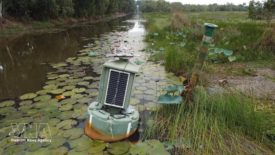 Equipo hidrológico alimentado por energía solar para monitorear el nivel de agua en el bosque. Foto: VNA