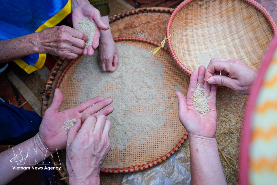 Tras descascarillar el grano, los equipos realizan el aventado y el lavado del arroz, preparándolo para la cocción. (Foto: VNA)