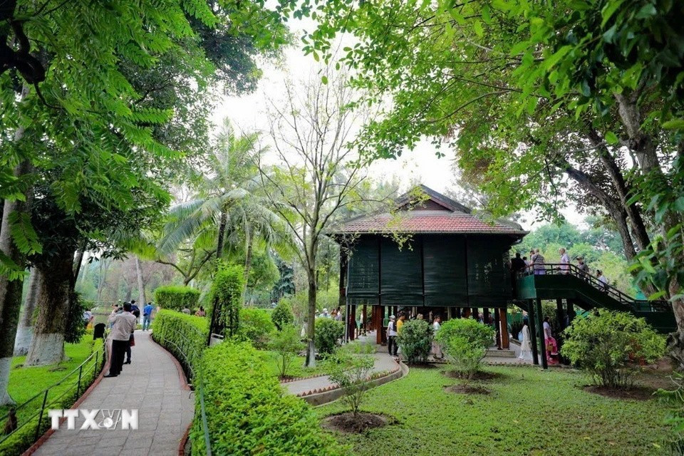 En el área hay numerosos árboles plantados, cuidados y nombrados por el propio Presidente Ho Chi Minh. También hay plantas traídas del extranjero o regaladas por el pueblo vietnamita, como el caimito y el hibisco. (Foto: VNA)