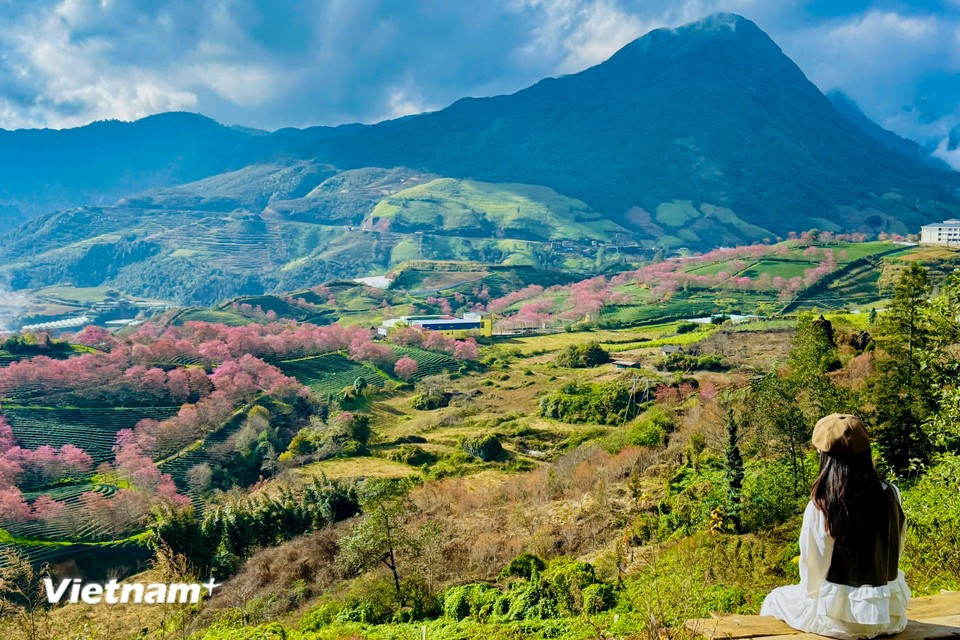 Visitar Sapa en diciembre es un viaje para descubrir momentos mágicos de la naturaleza. (Foto: Vietnam+)