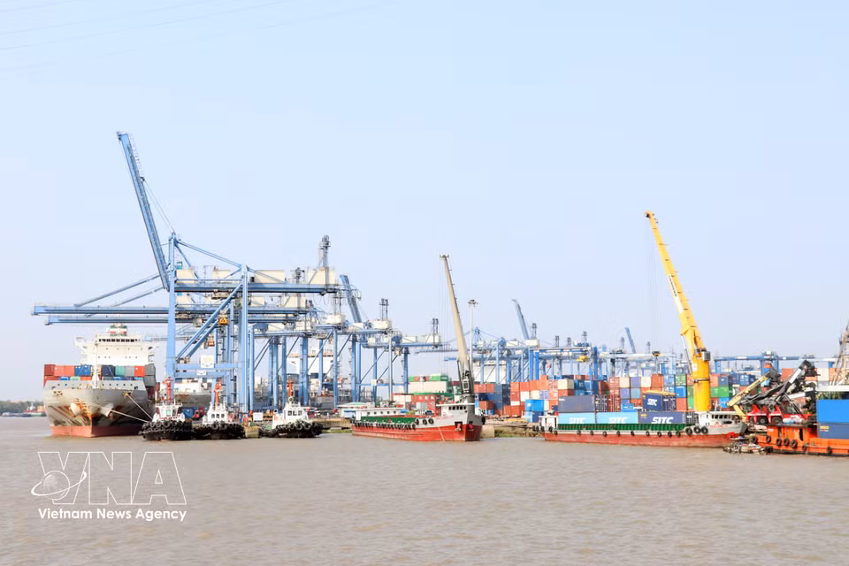 El puerto de Tan Cang Cat Lai ha experimentado un fuerte desarrollo, convirtiéndose en el puerto de contenedores más grande y moderno de Vietnam. Foto: VNA