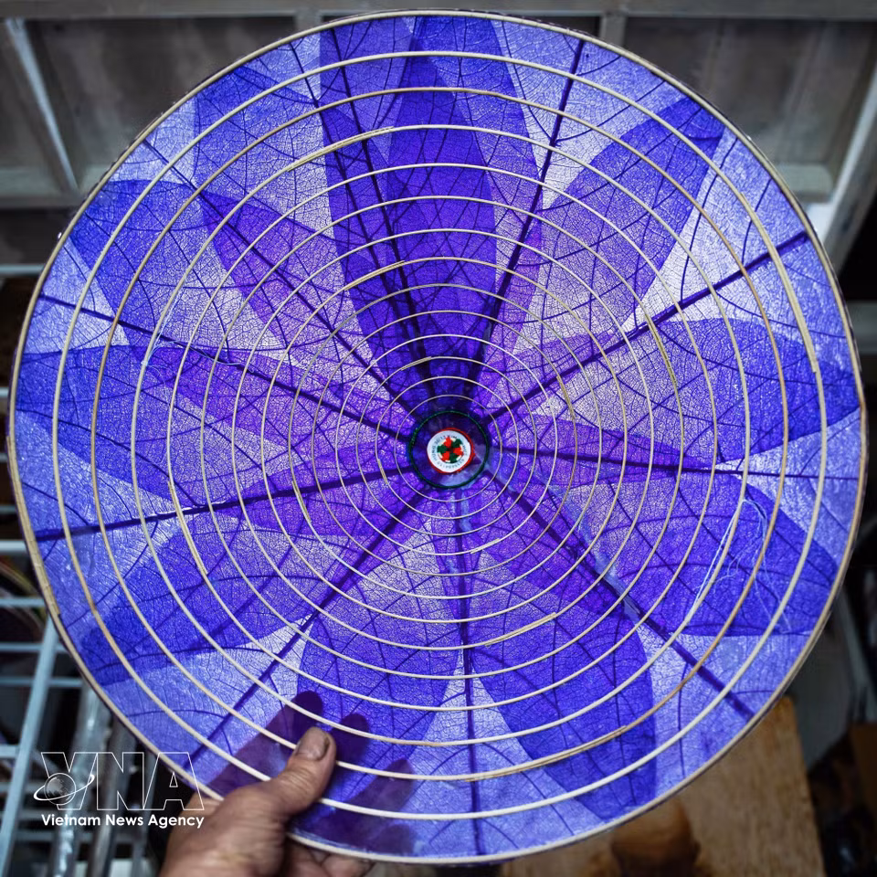 El sombrero de hojas de almendro terminado impresiona por su transparencia, ligereza y belleza natural derivada de la estructura de la hoja. Foto: VNA