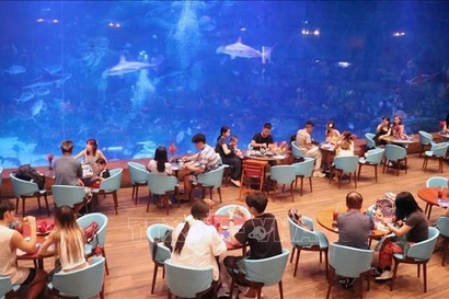 Los turistas experimentan el Palacio del Océano en el norte de la isla de Phu Quoc (Kien Giang). (Foto: VNA)